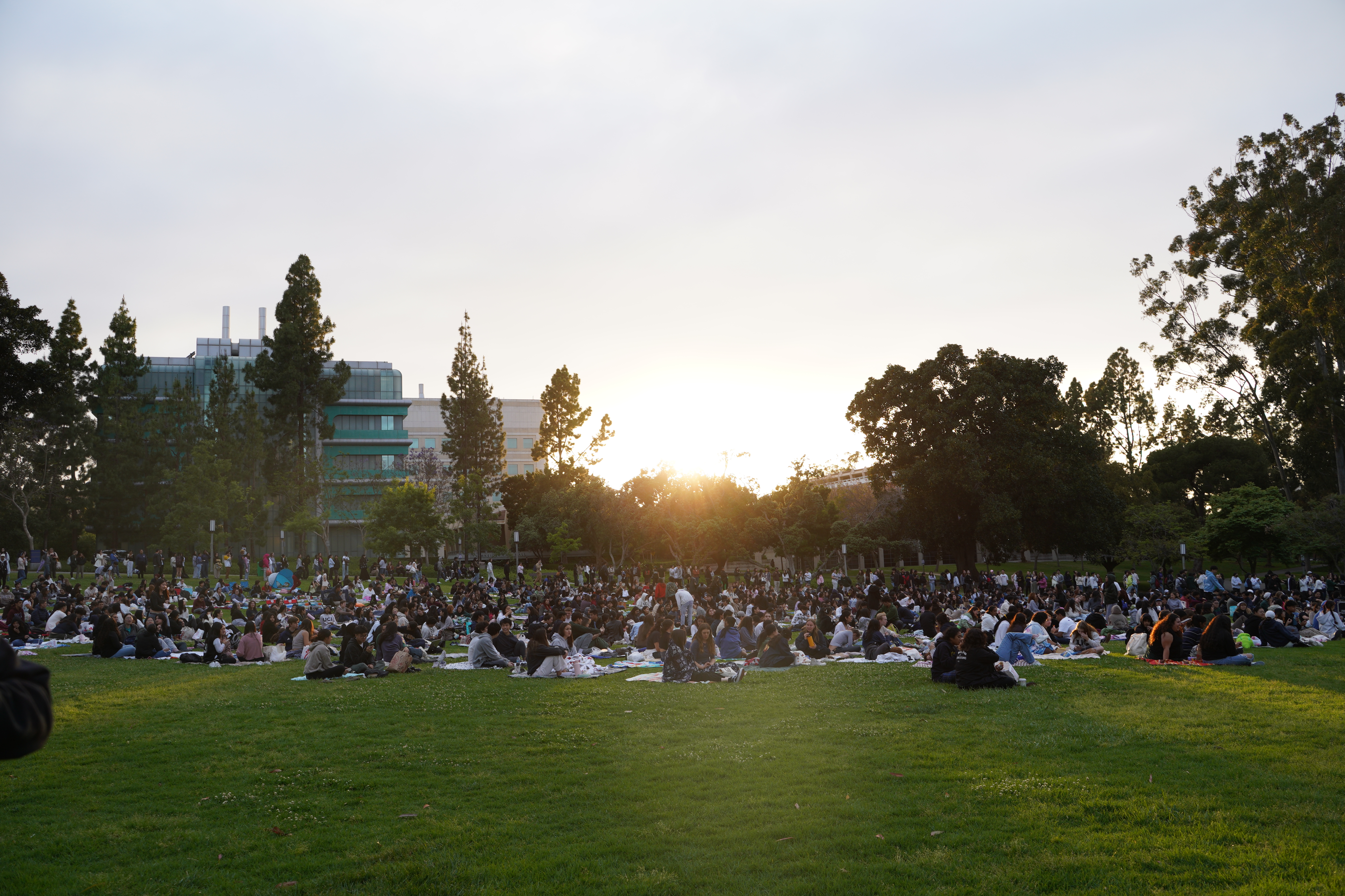 SOTG Crowd